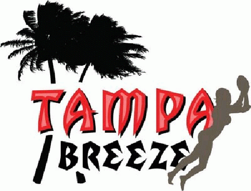 tampa breeze 2008-pres primary logo iron on transfers for clothing